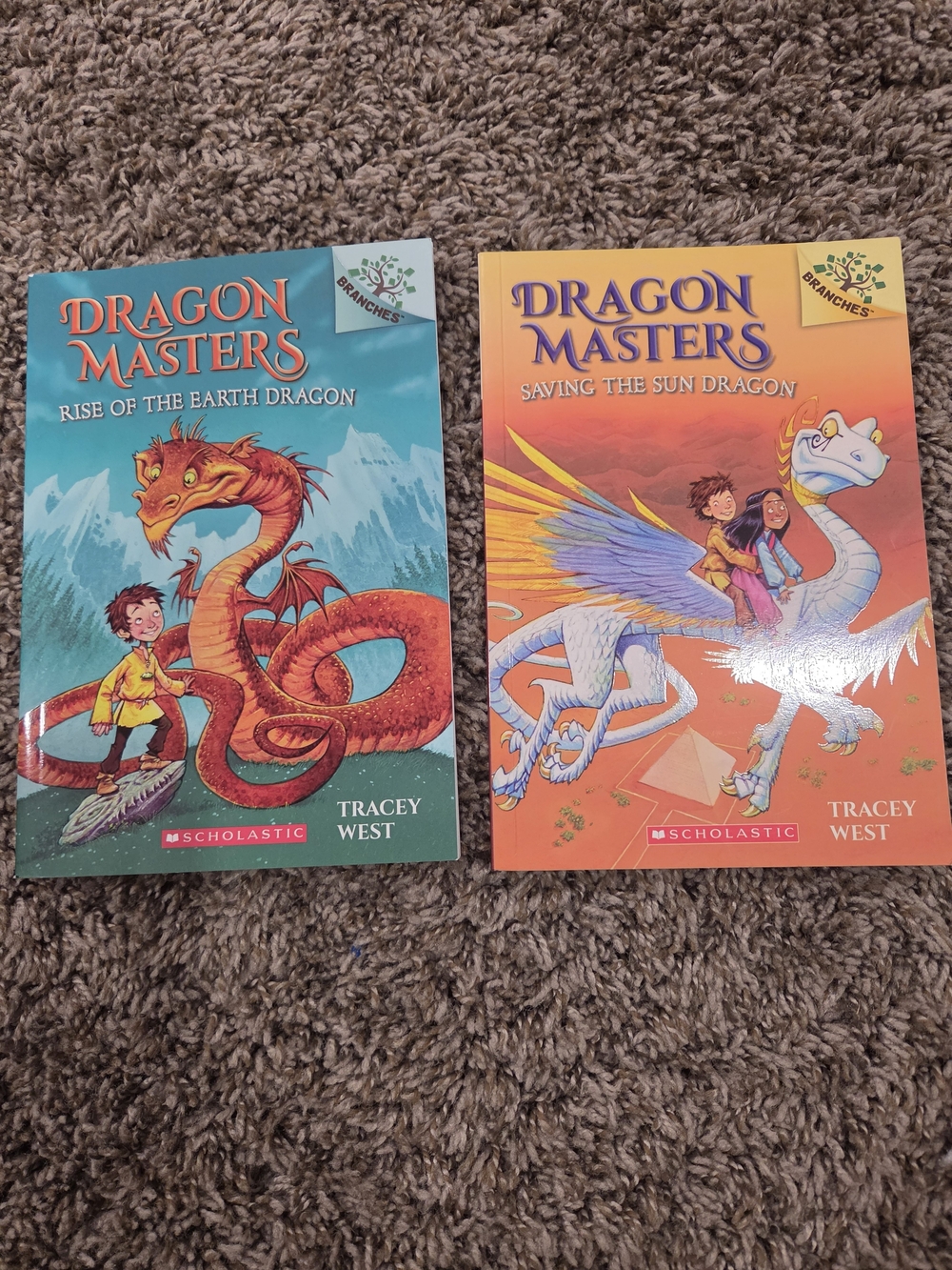 Scholastic Dragon Masters Books - Teal and Orange Covers